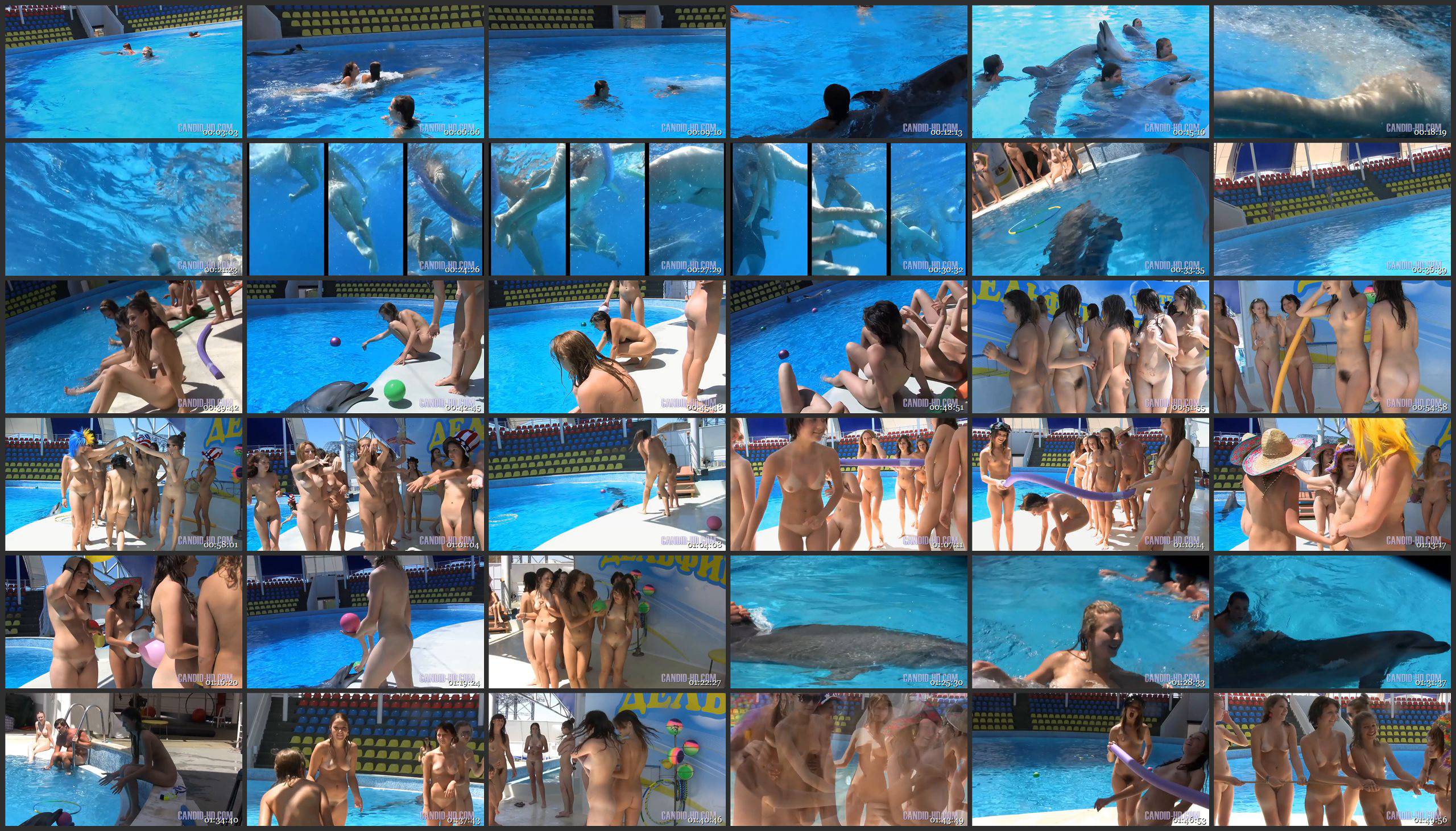 Candid-HD Videos-Amazing Dolphin Encounter - Thumbnails