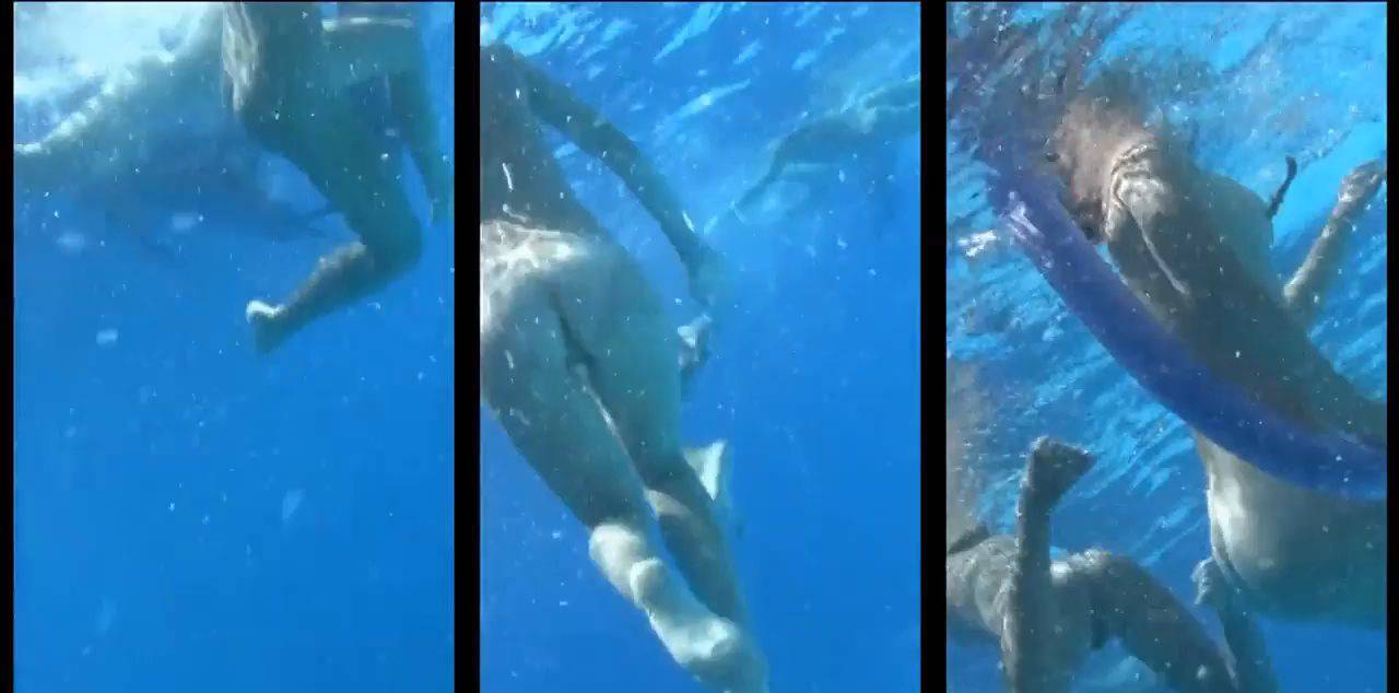 Amazing Dolphin Encounter - 3