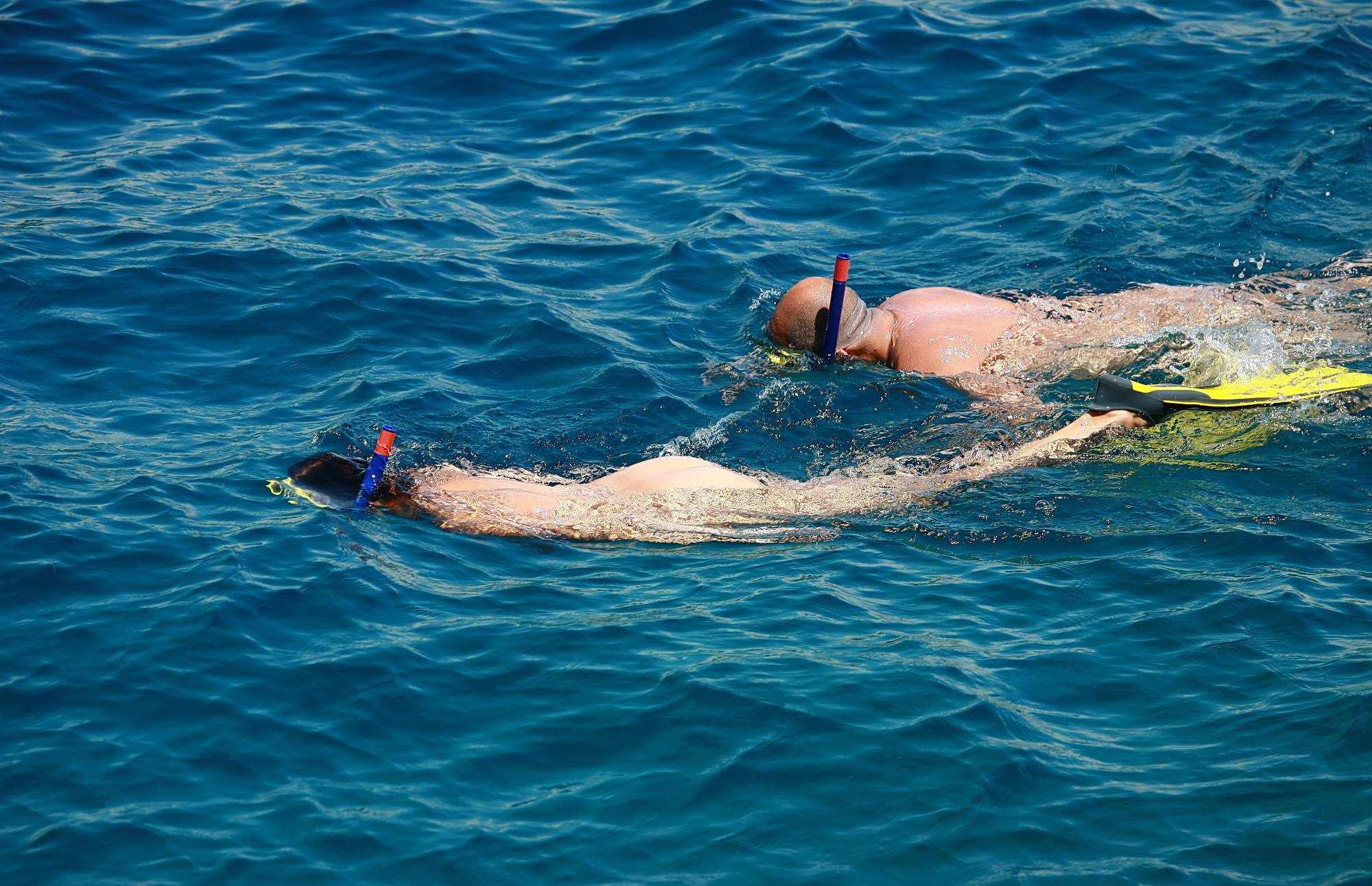 Pure Nudism-Snorkeling and Day Boats - 2